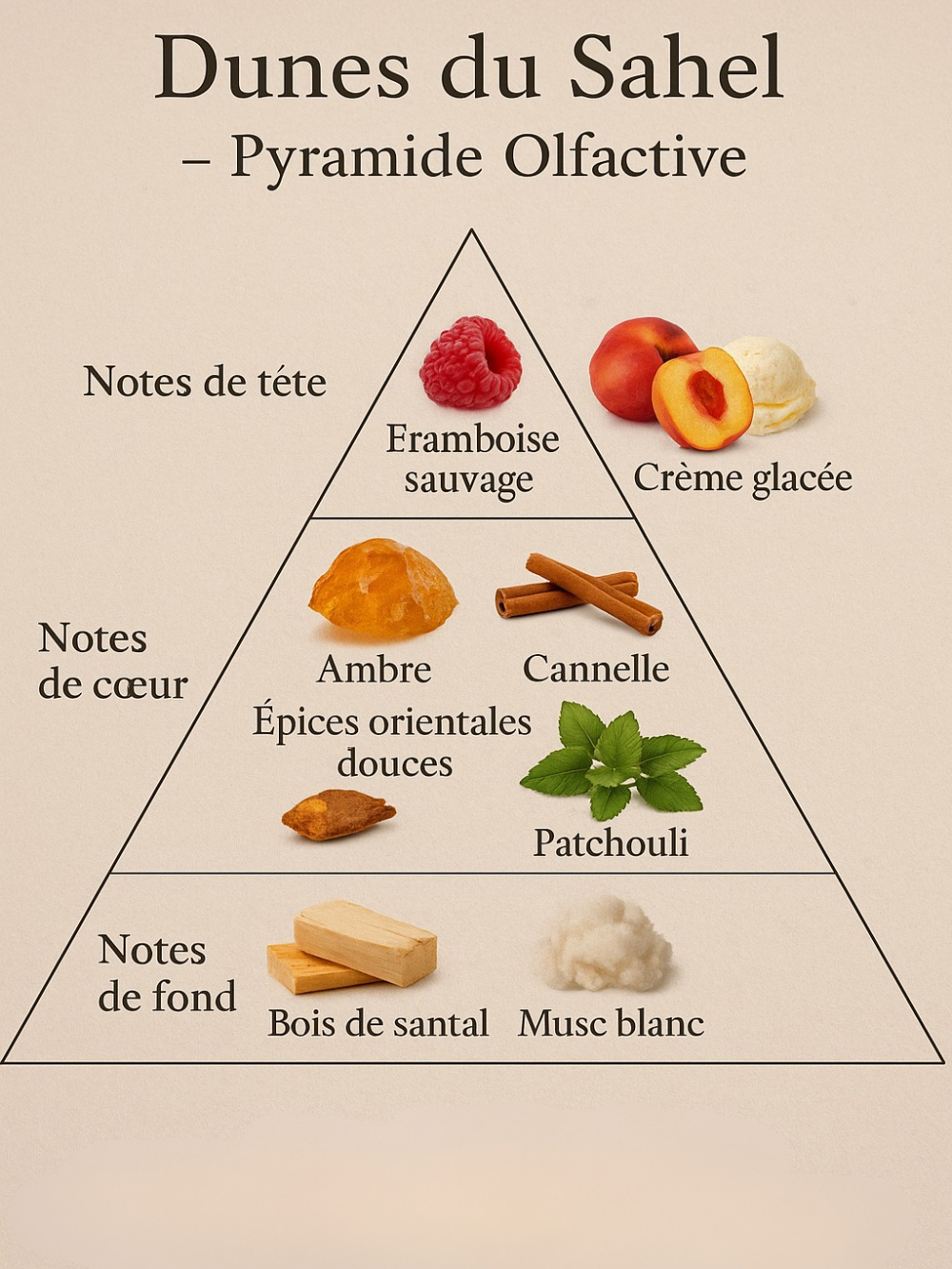 Dunes du Sahel - Extrait de parfum