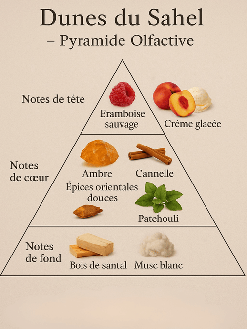 Dunes du Sahel - Échantillon